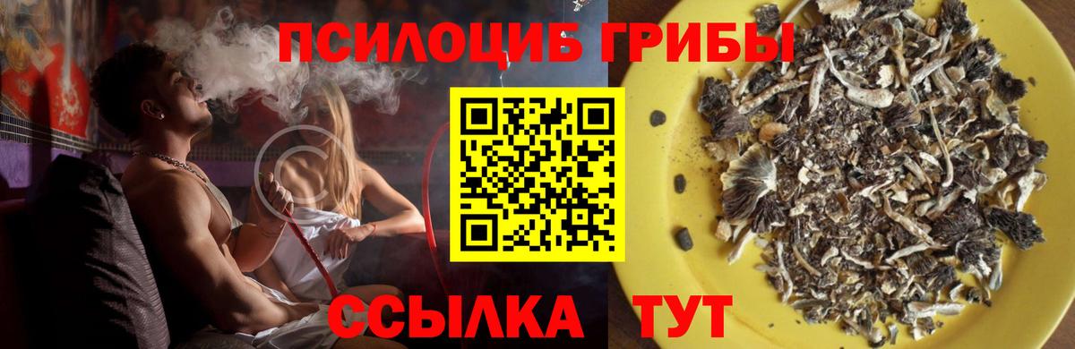 Псилоцибиновые грибы Cubensis  как найти закладки  Асино  Галлюциногенные грибы GOLDEN TEACHER  Вход с VPN 